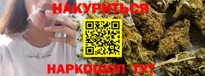 сатива Краснознаменск