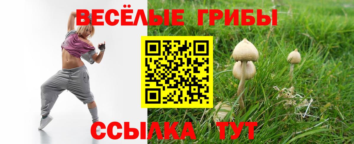 Псилоцибиновые грибы Psilocybe  Вход с VPN  Котлас 
